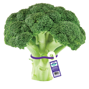 Organic Broccoli